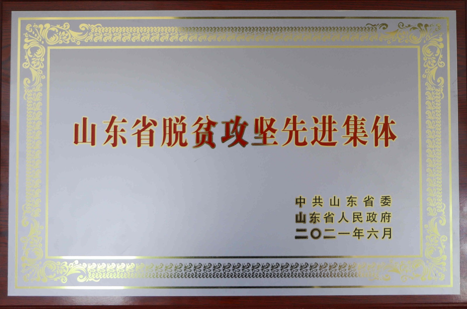 02.jpg